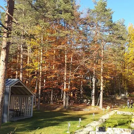 Divcigora Sokic Divčibare