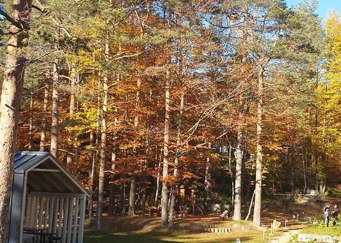 Divcigora Sokic Divčibare